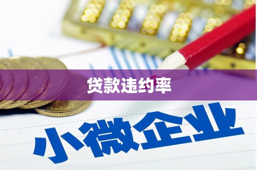 博湖贷款违约率