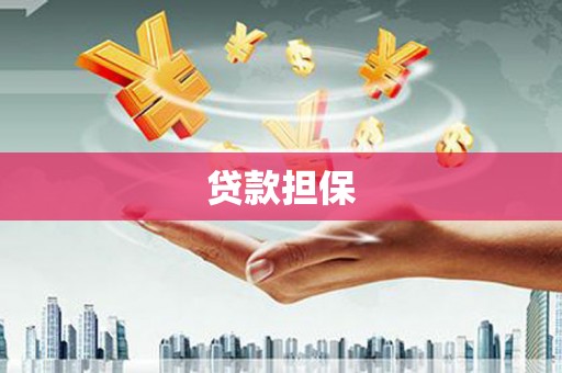滨海贷款担保
