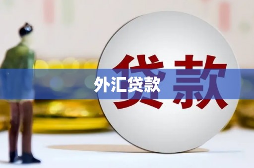 甘孜外汇贷款