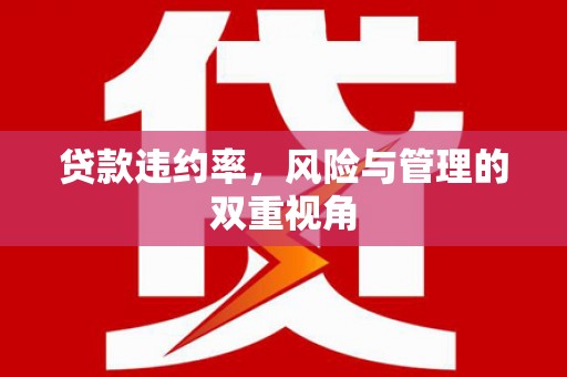 靖西贷款违约率，风险与管理的双重视角