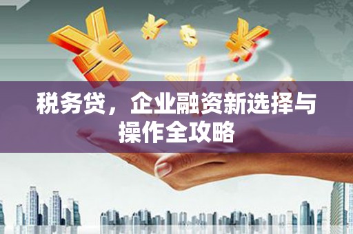 临翔税务贷，企业融资新选择与操作全攻略