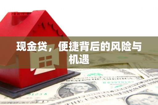 冀州现金贷，便捷背后的风险与机遇