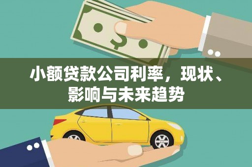 蒸湘小额贷款公司利率，现状、影响与未来趋势