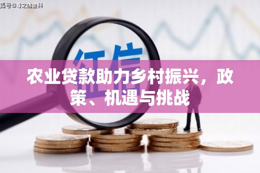 宁乡农业贷款助力乡村振兴，政策、机遇与挑战