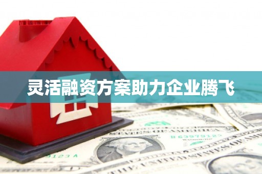 赫山灵活融资方案助力企业腾飞