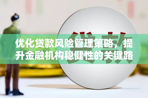 万里优化贷款风险管理策略，提升金融机构稳健性的关键路径