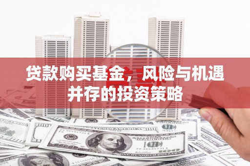 宁乡贷款购买基金，风险与机遇并存的投资策略