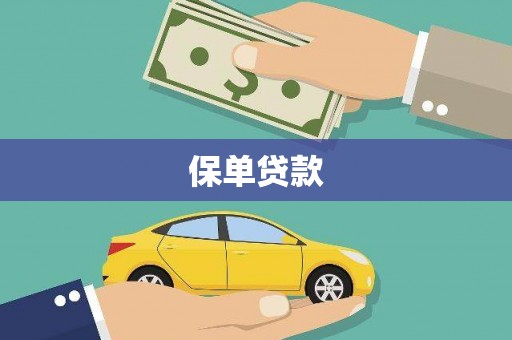 临潭保单贷款