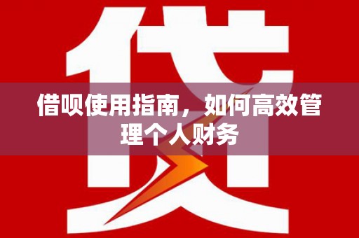 龙江借呗使用指南，如何高效管理个人财务