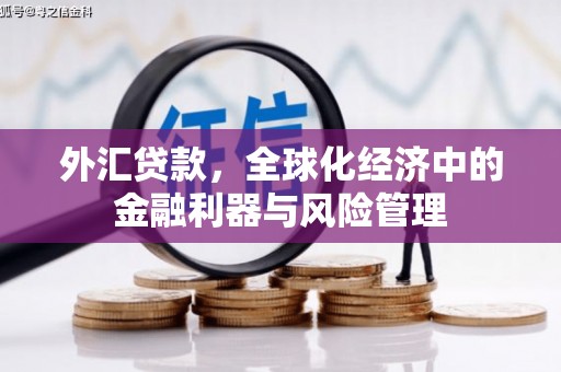永平外汇贷款，全球化经济中的金融利器与风险管理