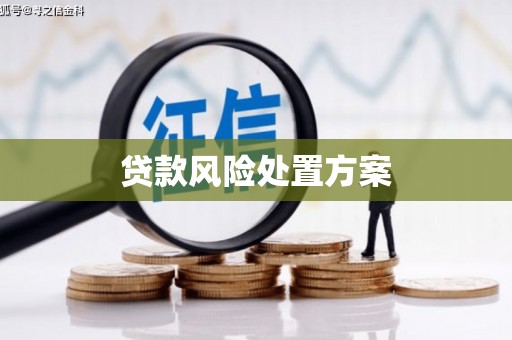 涵江贷款风险处置方案