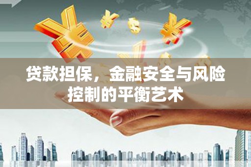 南安贷款担保，金融安全与风险控制的平衡艺术