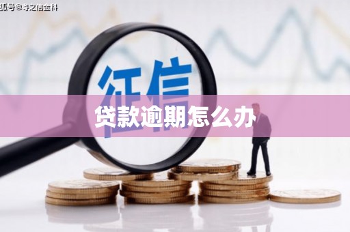 定安贷款逾期怎么办