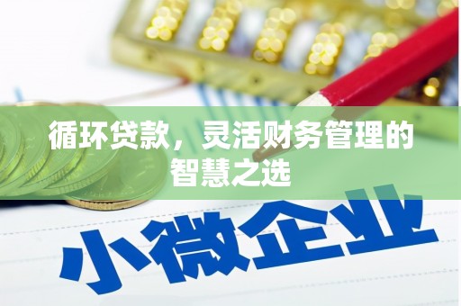 泌阳循环贷款，灵活财务管理的智慧之选