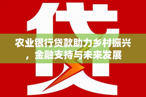 夏邑农业银行贷款助力乡村振兴，金融支持与未来发展