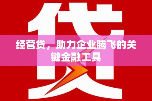 永善经营贷，助力企业腾飞的关键金融工具