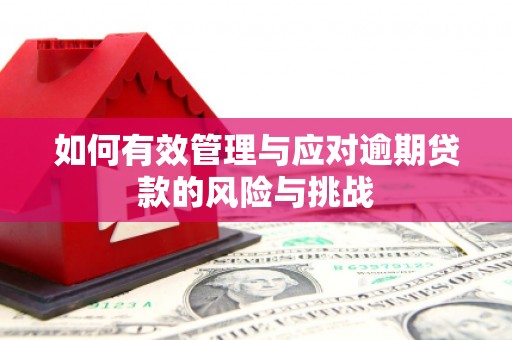 衡阳如何有效管理与应对逾期贷款的风险与挑战