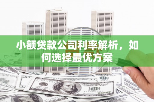后里小额贷款公司利率解析，如何选择最优方案