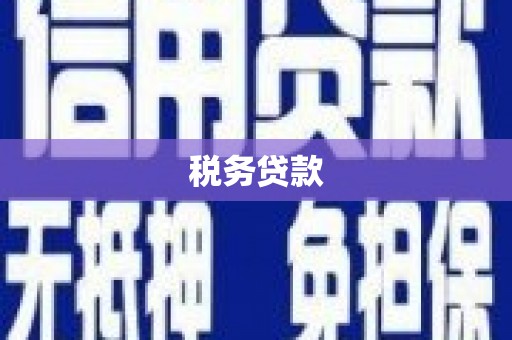 四会税务贷款