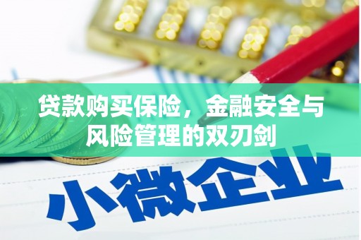 民雄贷款购买保险，金融安全与风险管理的双刃剑