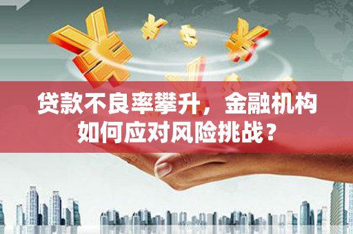 分宜贷款不良率攀升，金融机构如何应对风险挑战？
