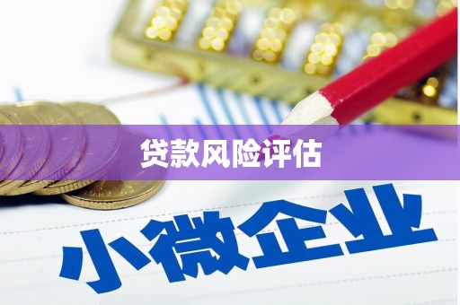 怀化贷款风险评估