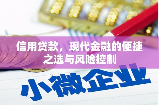 公安信用贷款，现代金融的便捷之选与风险控制