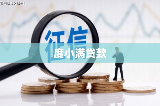 渭城度小满贷款