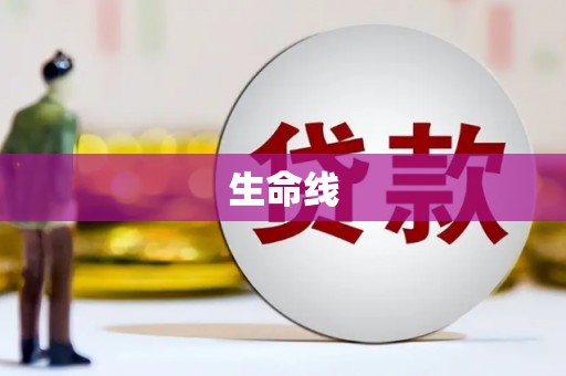 攀枝花生命线