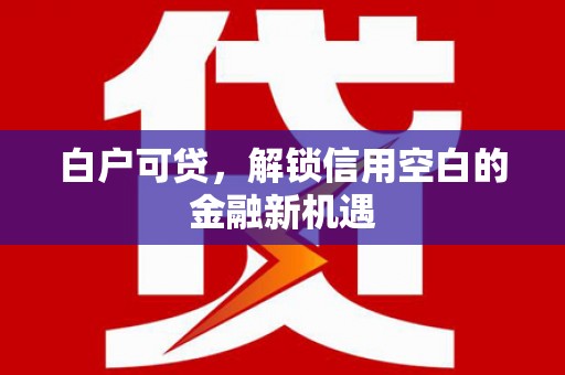 昭化白户可贷，解锁信用空白的金融新机遇