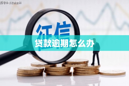 山西贷款逾期怎么办