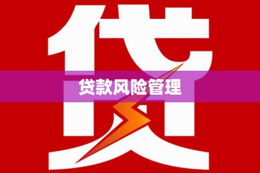 代县贷款风险管理