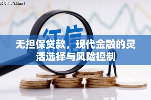 江西无担保贷款，现代金融的灵活选择与风险控制