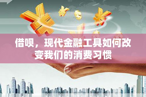 武川借呗，现代金融工具如何改变我们的消费习惯