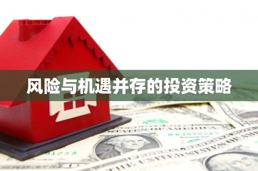 长滨风险与机遇并存的投资策略