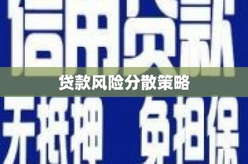 岷县贷款风险分散策略