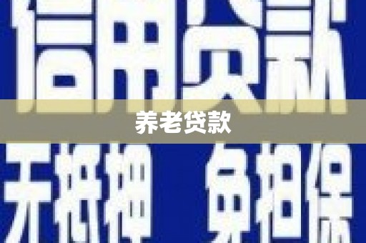 巴青养老贷款