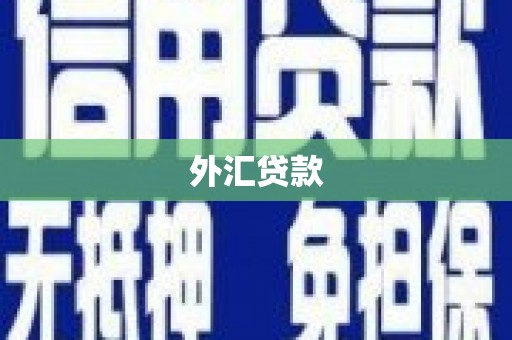 庆城外汇贷款