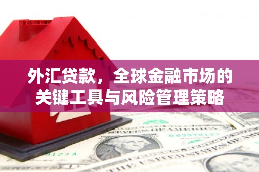 巩义外汇贷款，全球金融市场的关键工具与风险管理策略