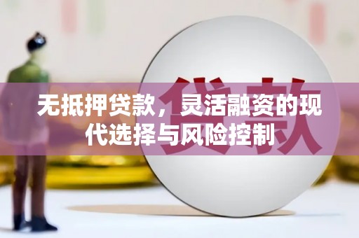 民雄无抵押贷款，灵活融资的现代选择与风险控制