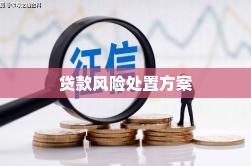 福山贷款风险处置方案