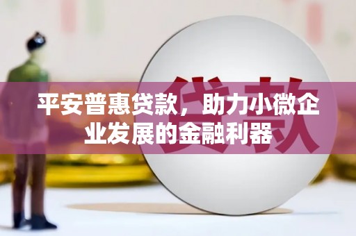 狮子平安普惠贷款，助力小微企业发展的金融利器
