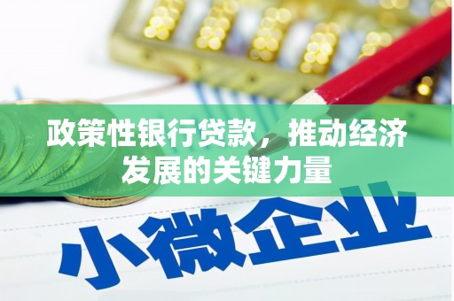 兴县政策性银行贷款，推动经济发展的关键力量