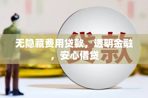 礼县无隐藏费用贷款，透明金融，安心借贷