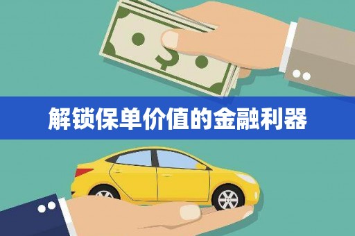 武冈解锁保单价值的金融利器