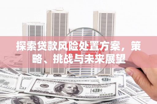 沈丘探索贷款风险处置方案，策略、挑战与未来展望