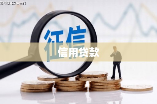 寿丰信用贷款