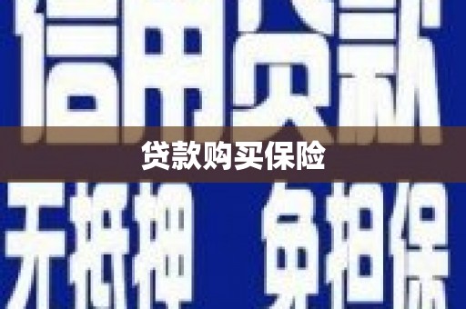 柘城贷款购买保险