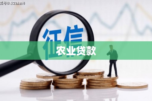 大足农业贷款