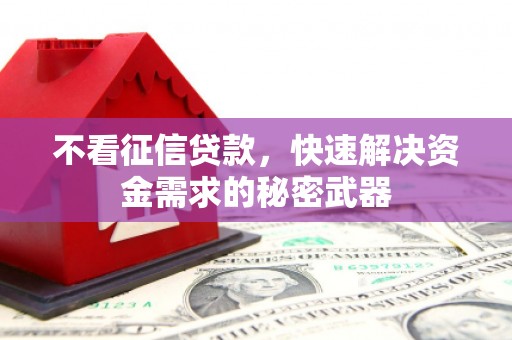 隆昌不看征信贷款，快速解决资金需求的秘密武器